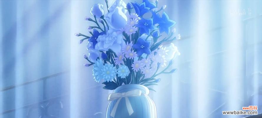 魔法少女小圆周边产品花语有何深意？