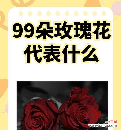 送男生花送什么好?花语应该表达什么?