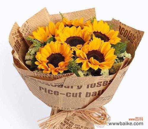 送男生花送什么好?花语应该表达什么?