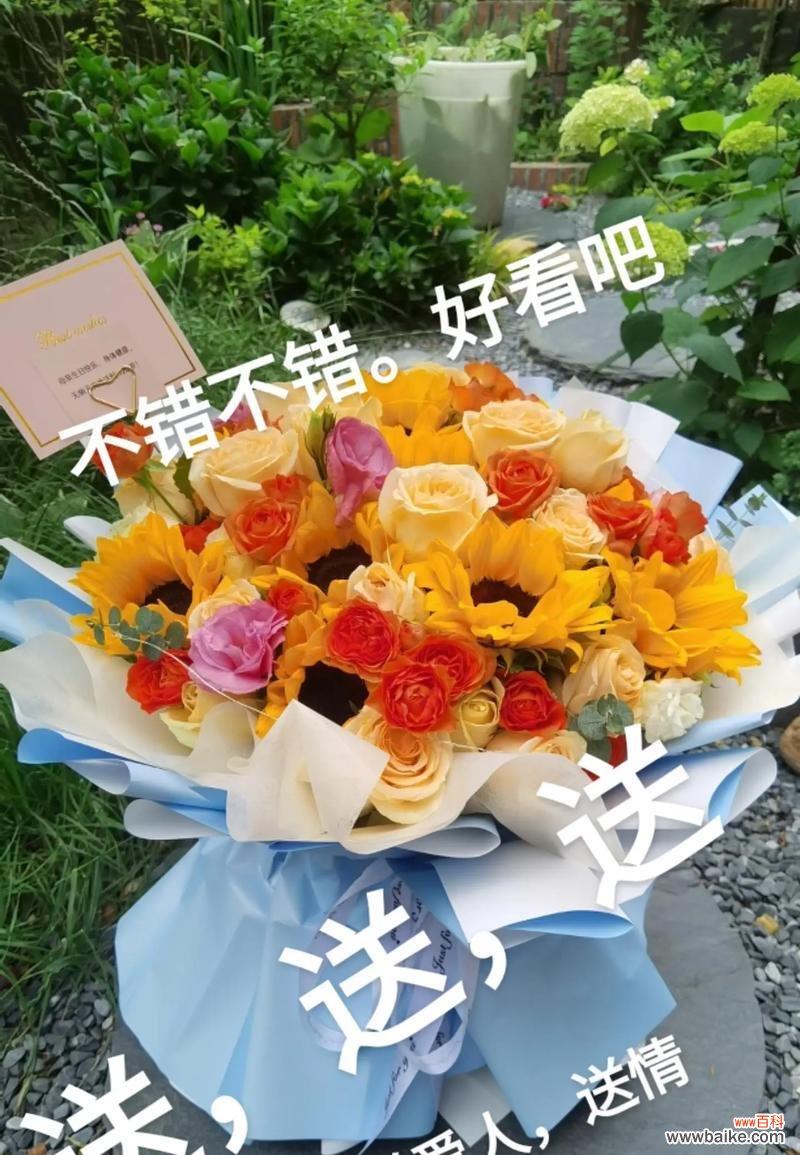 父母生日送什么花合适？爸妈生日的花语有哪些选择？