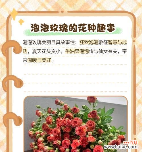 粉色与橙色玫瑰的花语是什么?它们各自有何含义?