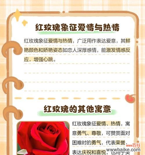 红玫瑰代表的真挚情感是什么?