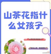 茶花凋谢的花语是什么意思？凋谢的茶花有何特别寓意？