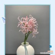 佛前供花时花语写什么比较合适？供花时应如何表达敬意？