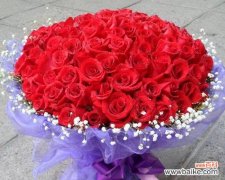 揭示玫瑰花的深层意义 两朵玫瑰的寓意与象征