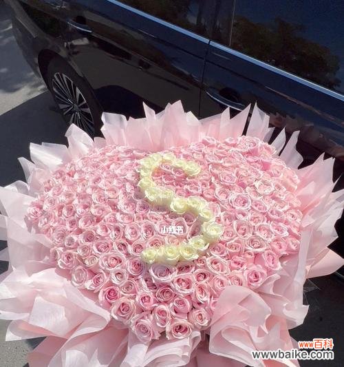 了解29朵玫瑰所传达的情感和意象，揭示花语背后的秘密 玫瑰的深意