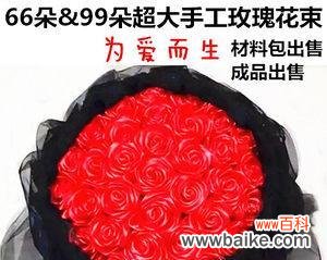 以31朵玫瑰花代表意思的探讨 玫瑰花的意义与象征