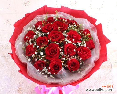 以31朵玫瑰花代表意思的探讨 玫瑰花的意义与象征