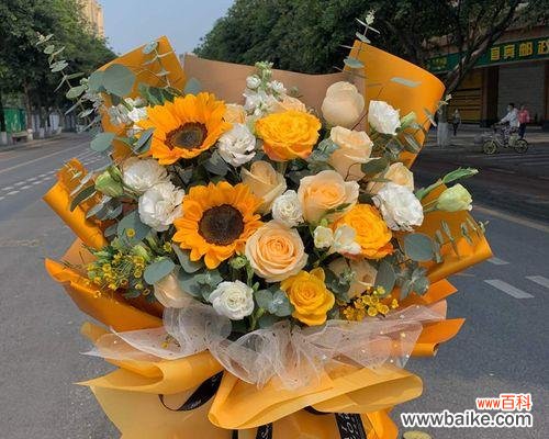 用2朵玫瑰花传递情感与祝福 玫瑰花的双重寓意