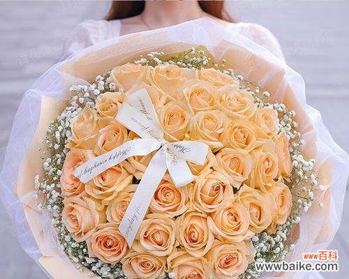 浪漫、丰饶、纯真、祝福 33朵香槟玫瑰的意义与象征