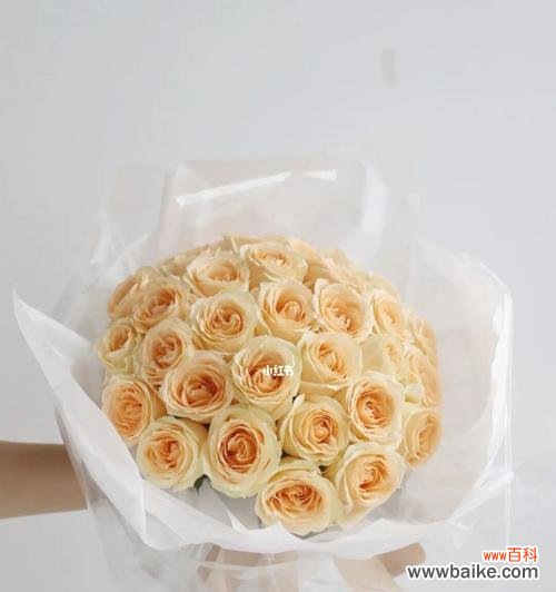 浪漫、丰饶、纯真、祝福 33朵香槟玫瑰的意义与象征