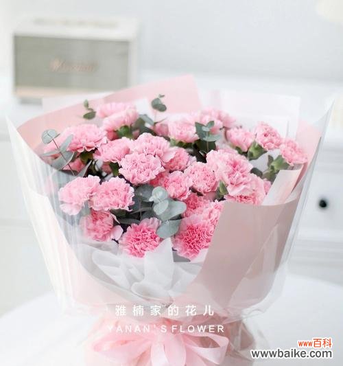 以3朵康乃馨传递三种情感 康乃馨的花语与寓意