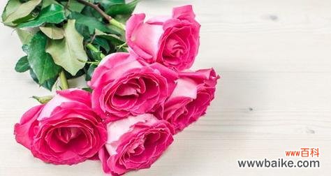 浪漫之极52玫瑰花代表的真爱 52玫瑰花朵数的含义与象征