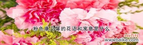 探索康乃馨的花语之美 康乃馨花语的深刻意义