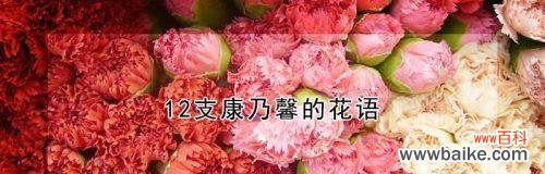 康乃馨的深刻含义及花语解析 康乃馨之美