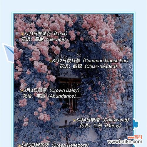 生日花语薄命代表的含义是什么?