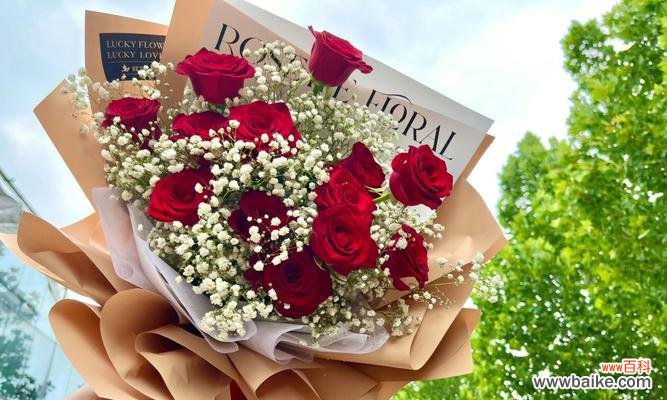 红玫瑰花语66朵含义什么意思?66朵红玫瑰代表什么?