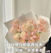 4支白玫瑰郁金香代表什么？它们的花语有何寓意？