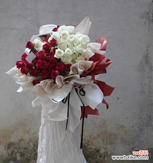 4支白玫瑰郁金香代表什么?它们的花语有何寓意?