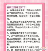 香槟玫瑰代表什么？它的花语有何特别之处？