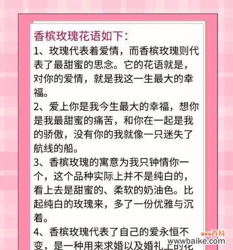 香槟玫瑰代表什么?它的花语有何特别之处?