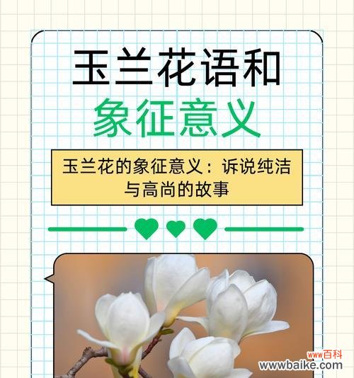 10月的花语是什么?有哪些花在10月代表特别的意义?