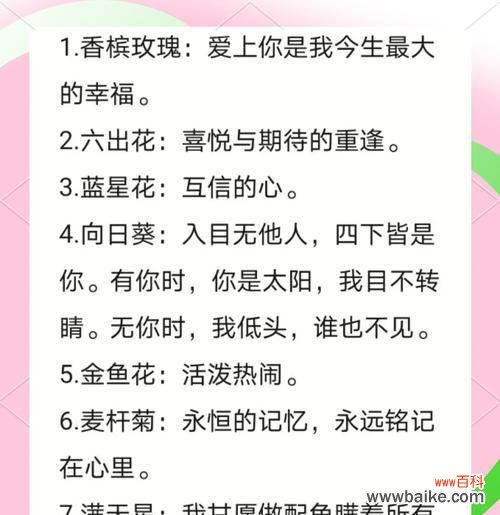 花与花的花语是什么？如何表达爱意？