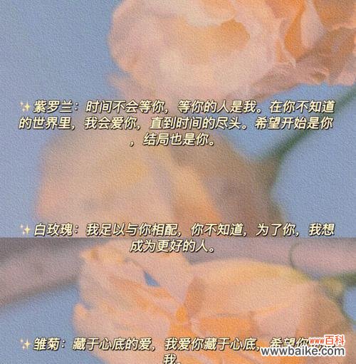 花与花的花语是什么？如何表达爱意？
