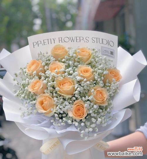 香槟玫瑰的花语有何含义？它代表了什么？