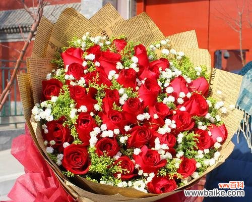 8朵红玫瑰花的意义及传达的情感 红玫瑰花的象征意义