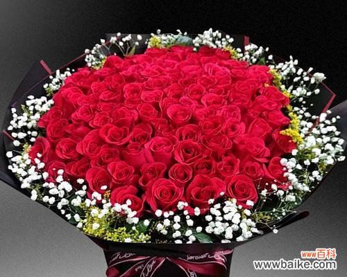 8朵红玫瑰花的意义及传达的情感 红玫瑰花的象征意义