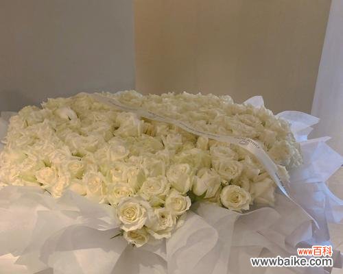 探寻九朵白玫瑰的象征意义和文化内涵 用九朵白玫瑰传递的寓意
