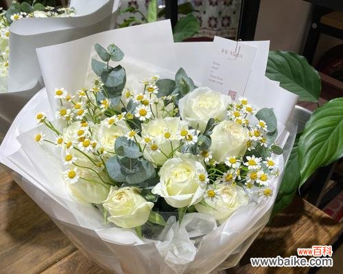 探寻九朵白玫瑰的象征意义和文化内涵 用九朵白玫瑰传递的寓意