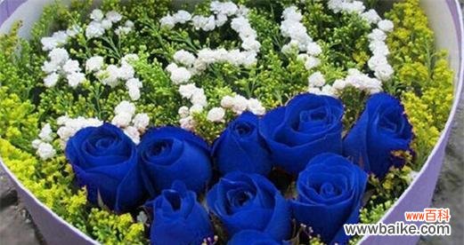 爱情、友情、感恩，寄托无限祝福 浪漫与祝福