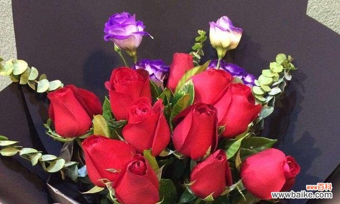 探寻8朵粉玫瑰的深刻内涵 粉玫瑰花的含义与象征