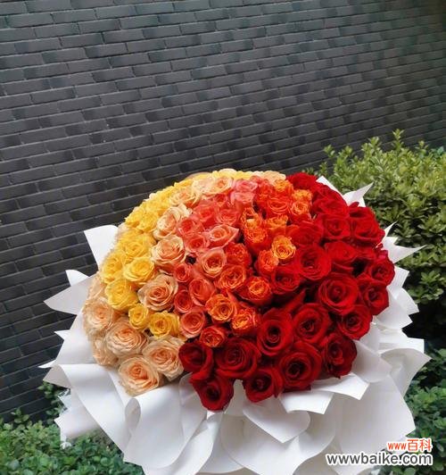 浪漫，爱情，祝福 99朵玫瑰花的含义