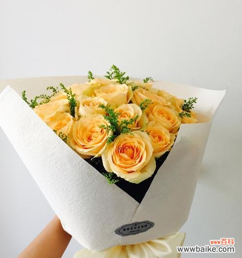 用九朵香槟玫瑰传递情感的美丽语言 香槟玫瑰花语