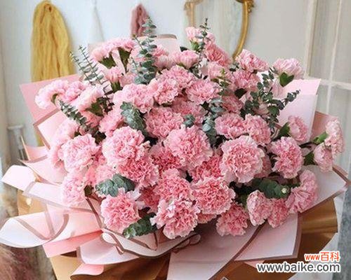 传递爱与关怀 康乃馨花束的意义与象征