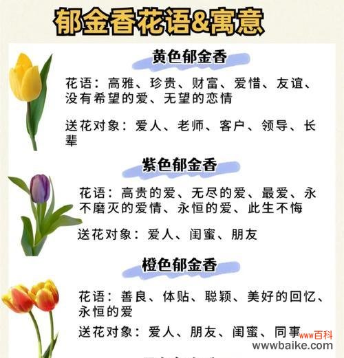 表示恋人甜蜜的花语是什么？有哪些花语代表爱情甜蜜？