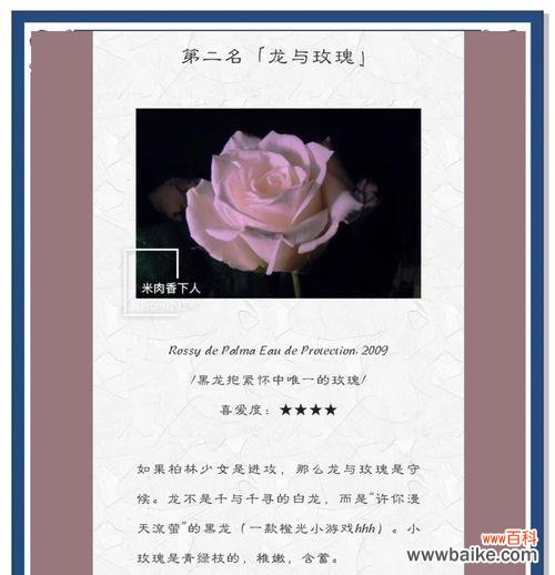 花语中自信且真诚是什么意思？它代表了怎样的情感？