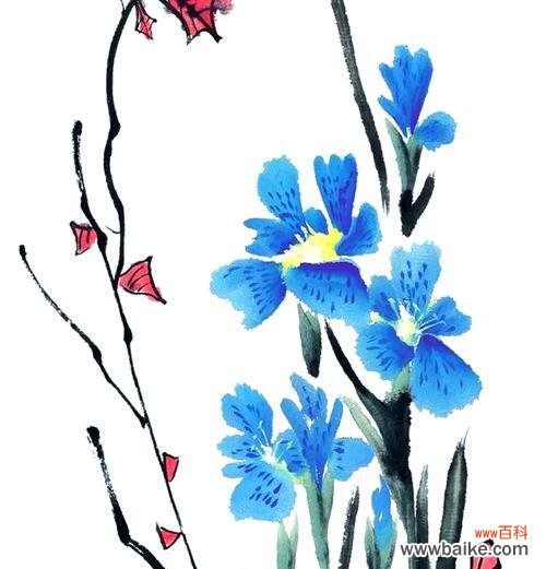 蓝白蝴蝶花象征着什么?它的花语有何深意?