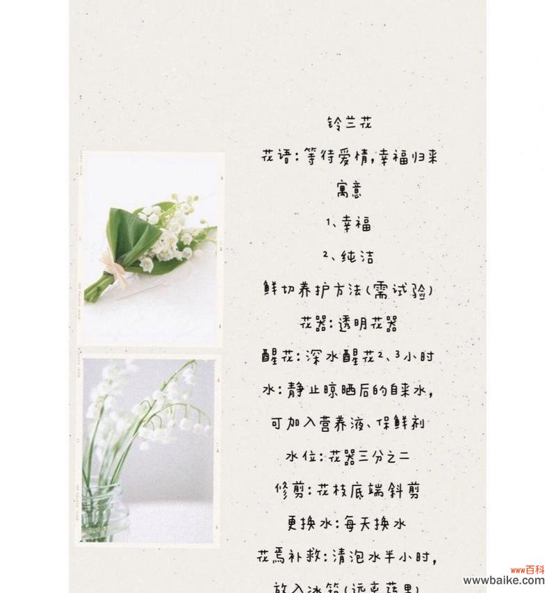 花语搞笑含义是什么？如何正确理解花语？