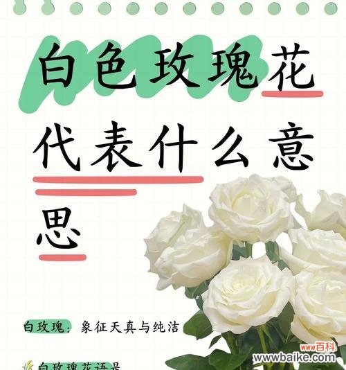 花语搞笑含义是什么？如何正确理解花语？