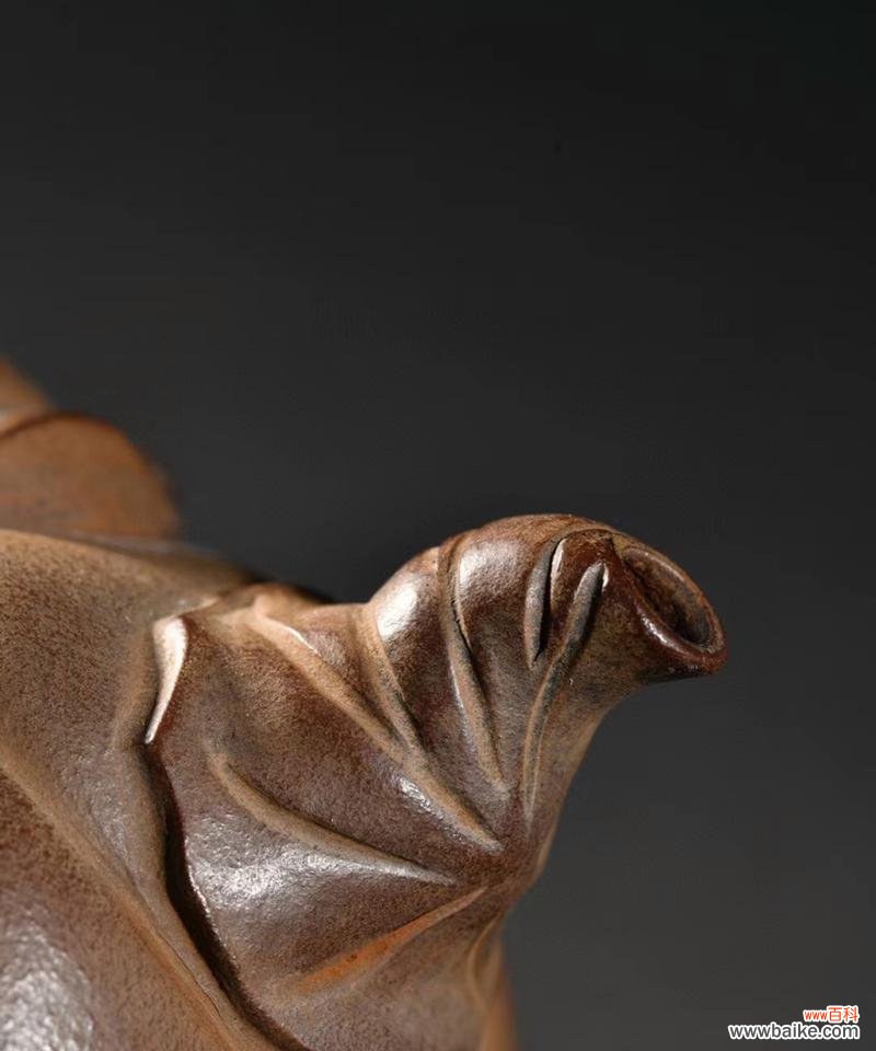 紫沙莲蓬的寓意和花语有哪些？