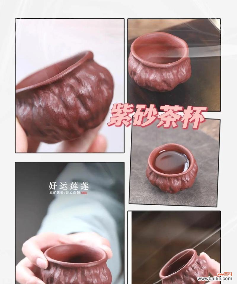 紫沙莲蓬的寓意和花语有哪些？