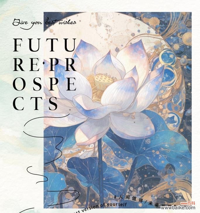 低调花语传达了哪些信息？