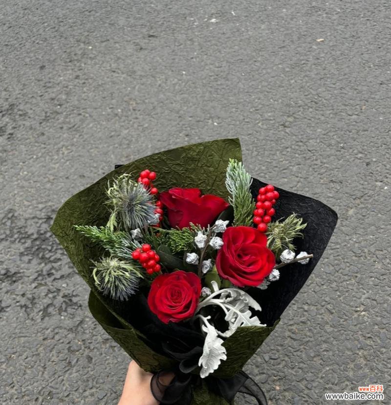 公主圣诞快乐的花语代表什么?