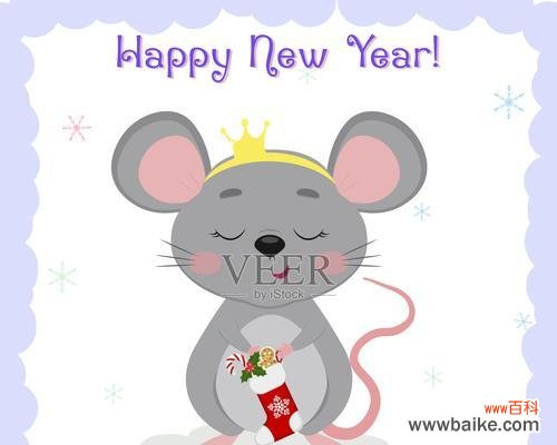 公主圣诞快乐的花语代表什么?