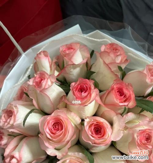 解读爱莎玫瑰的深刻内涵,传递情感的力量 爱莎玫瑰花语与寓意