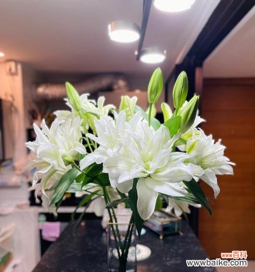 以白百合花为媒介，探讨花卉在文化中的重要角色 白百合花的象征意义及文化传承